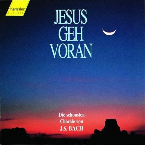 Various jesus geh voran - various,